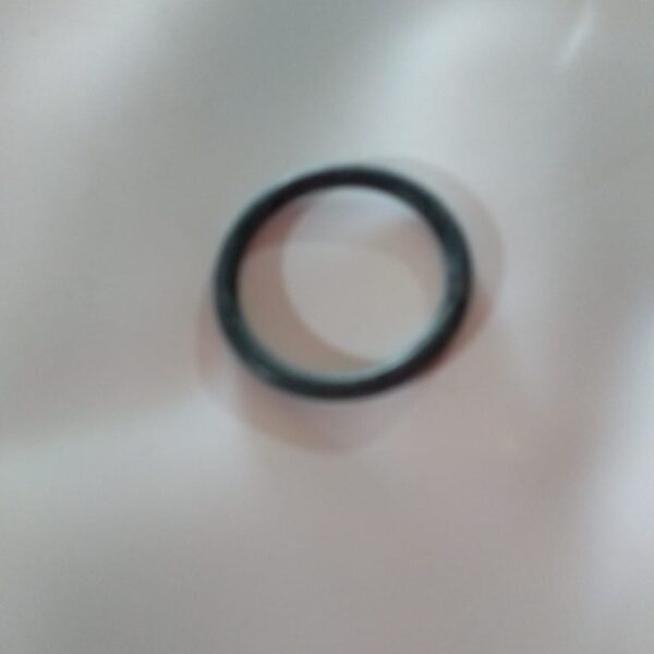 Anel Oring Borracha Para Bujão Dreno Filtro Pentair