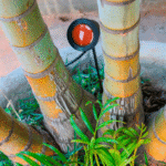 Espeto Jardim Luminária Com LED E Troca Cor Da Lente - Imagem 4